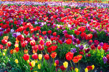 Similar image 22232931