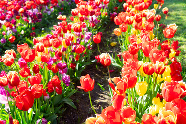 Similar image 22232932