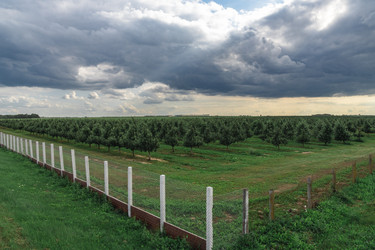 Similar image 22231257