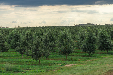 Similar image 22231258