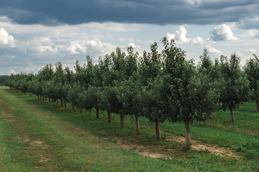 Similar image 22231260