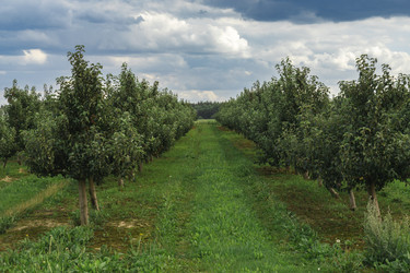 Similar image 22231261