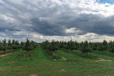 Similar image 22231262