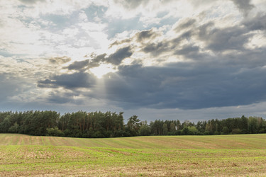 Similar image 22231264