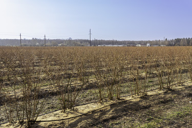 Similar image 22231267