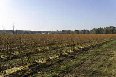 Similar image 22231268