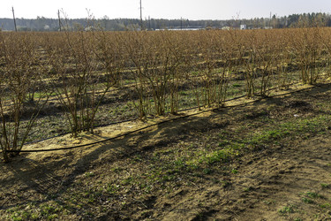 Similar image 22231269