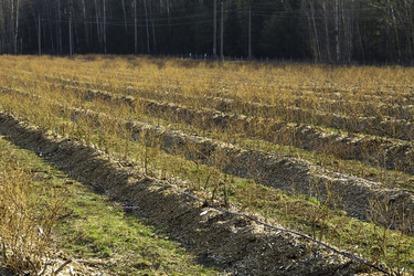 Similar image 22231270