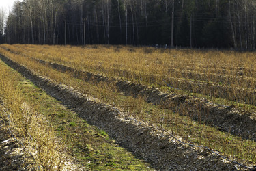 Similar image 22231271