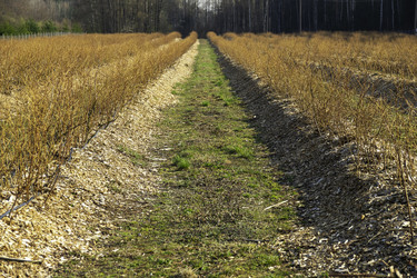 Similar image 22231272