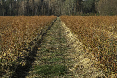 Similar image 22231273