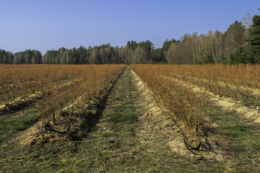 Similar image 22231274