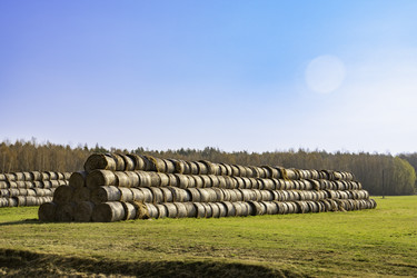 Similar image 22231277