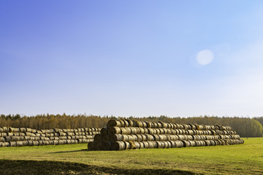 Similar image 22231278