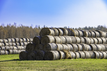 Similar image 22231367