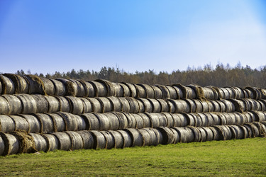 Similar image 22231368