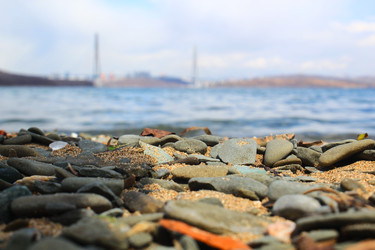 Similar image 22229433