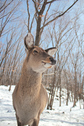 Similar image 22229434