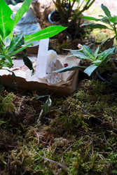 Similar image 22232554