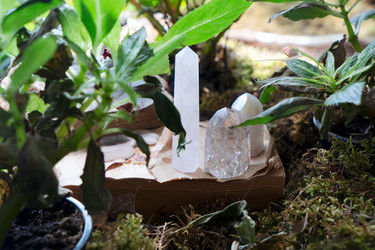 Similar image 22232555