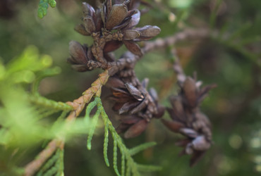 Similar image 22229438