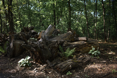 Similar image 22229439