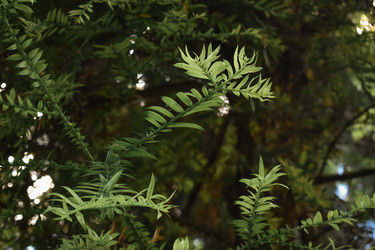 Similar image 22229440