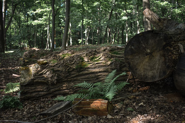 Similar image 22229441