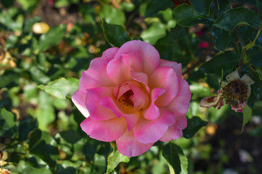 Similar image 22229442