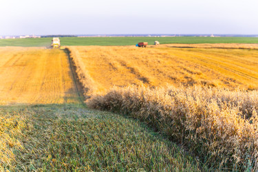 Similar image 22231280