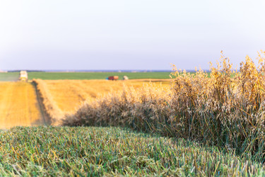 Similar image 22231281