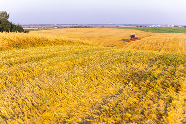 Similar image 22231283