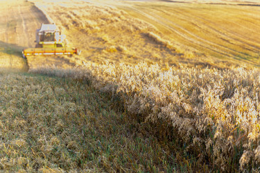 Similar image 22231284