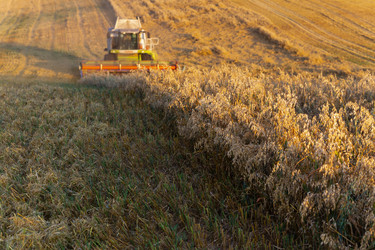 Similar image 22231285