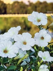 Similar image 22229507