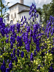 Similar image 22229508