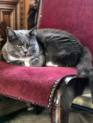 Similar image 22229509