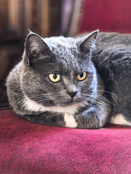 Similar image 22229511