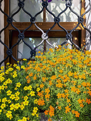 Similar image 22229514