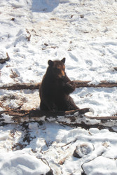 Similar image 22229444