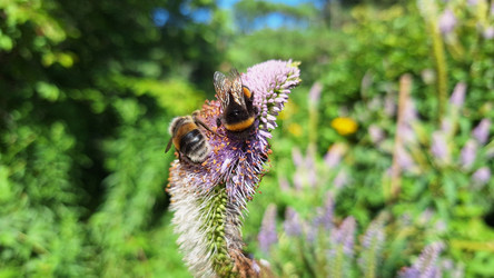 Similar image 22229446