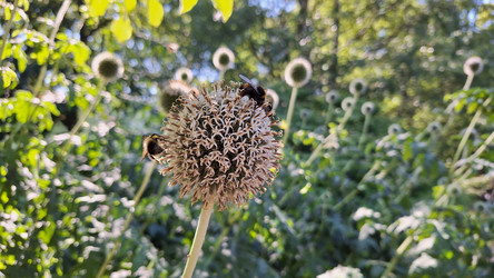 Similar image 22229447