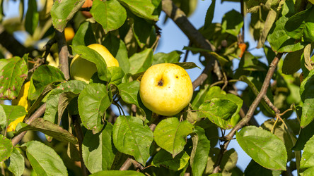 Similar image 22230269