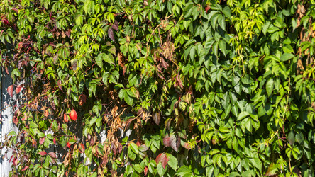 Similar image 22230283