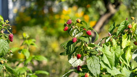 Similar image 22230284