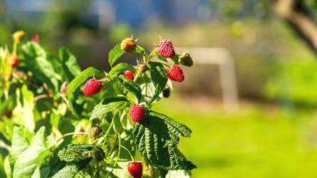 Similar image 22230285