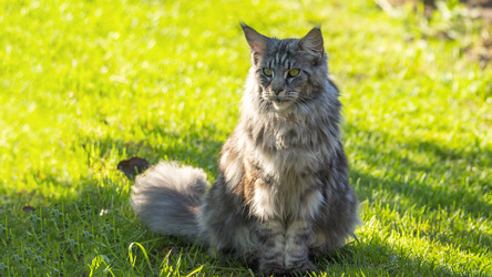 Similar image 22230287