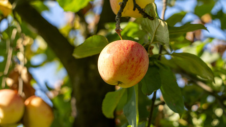 Similar image 22230288