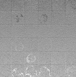 Similar image 22230684