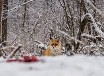 Similar image 22230848